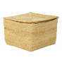 Golden Grass 14 Inch Square Box