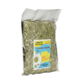 Pumpkin Seed 500g